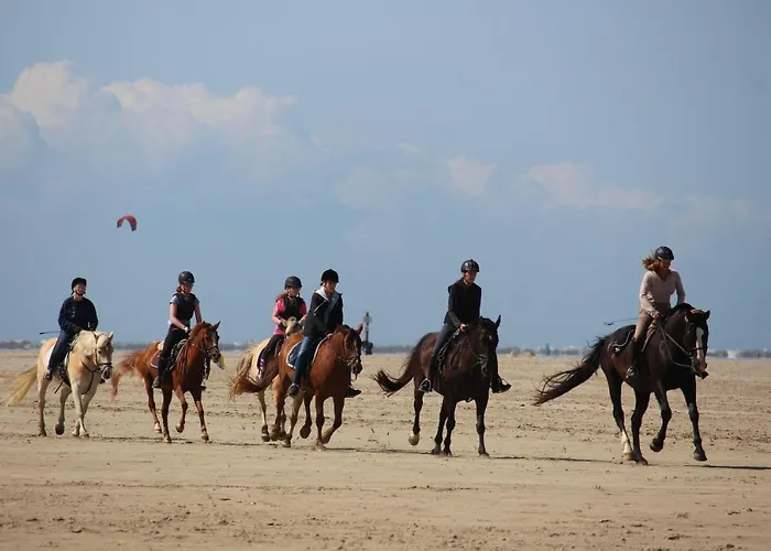 Hotel Reiterhof-immensee-app-b *